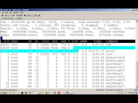 Dns Lookup Device Examine Dns Information For Any Domain Dns Lookup Device Examine Dns Information For Any Domain
